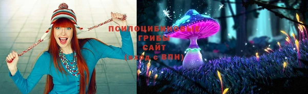 а пвп мука Верхний Тагил