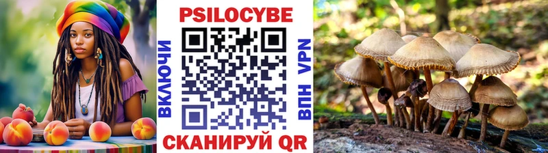 наркотики Выборг Псилоцибиновые грибы Magic Shrooms