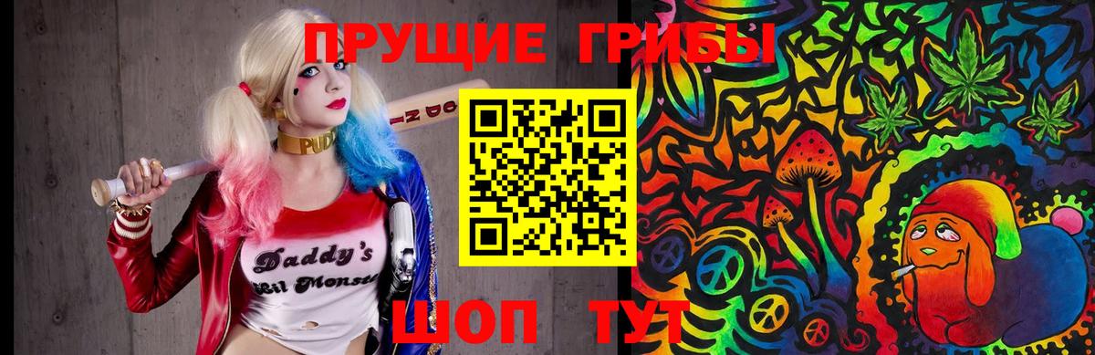 Псилоцибиновые грибы Psilocybe Выборг