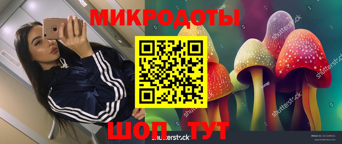 Псилоцибиновые грибы мицелий  Вход с VPN  Выборг  Псилоцибиновые грибы мухоморы 